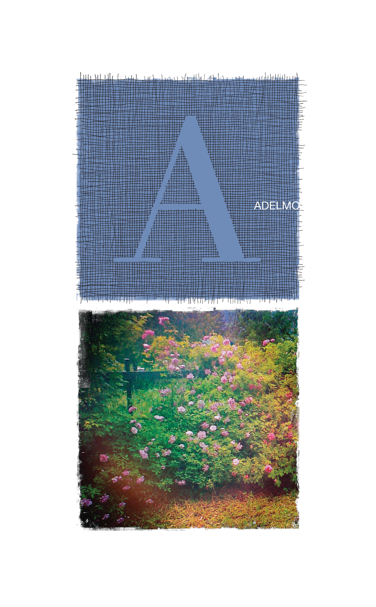 0007-ADELMO
