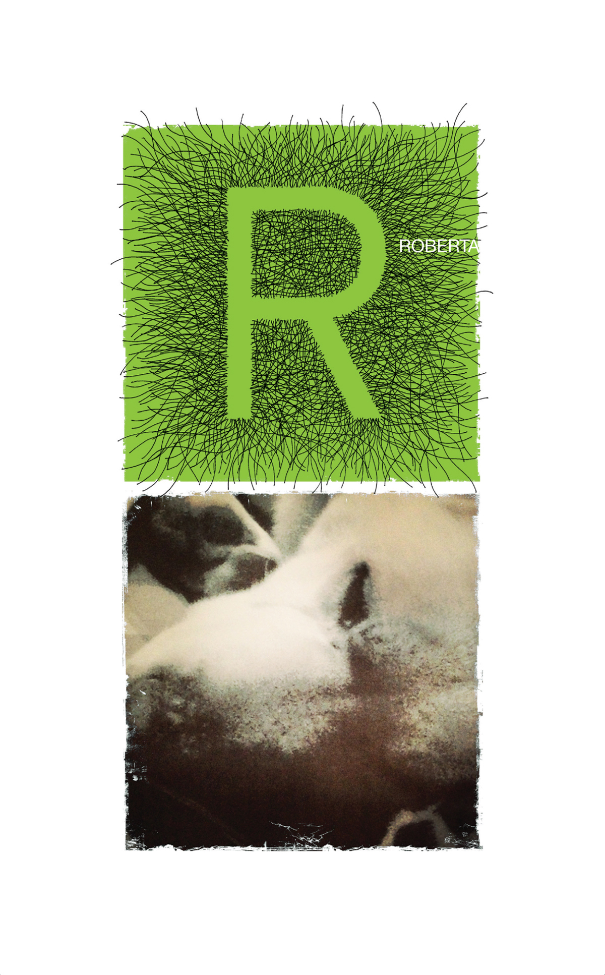 0028-ROBERTA