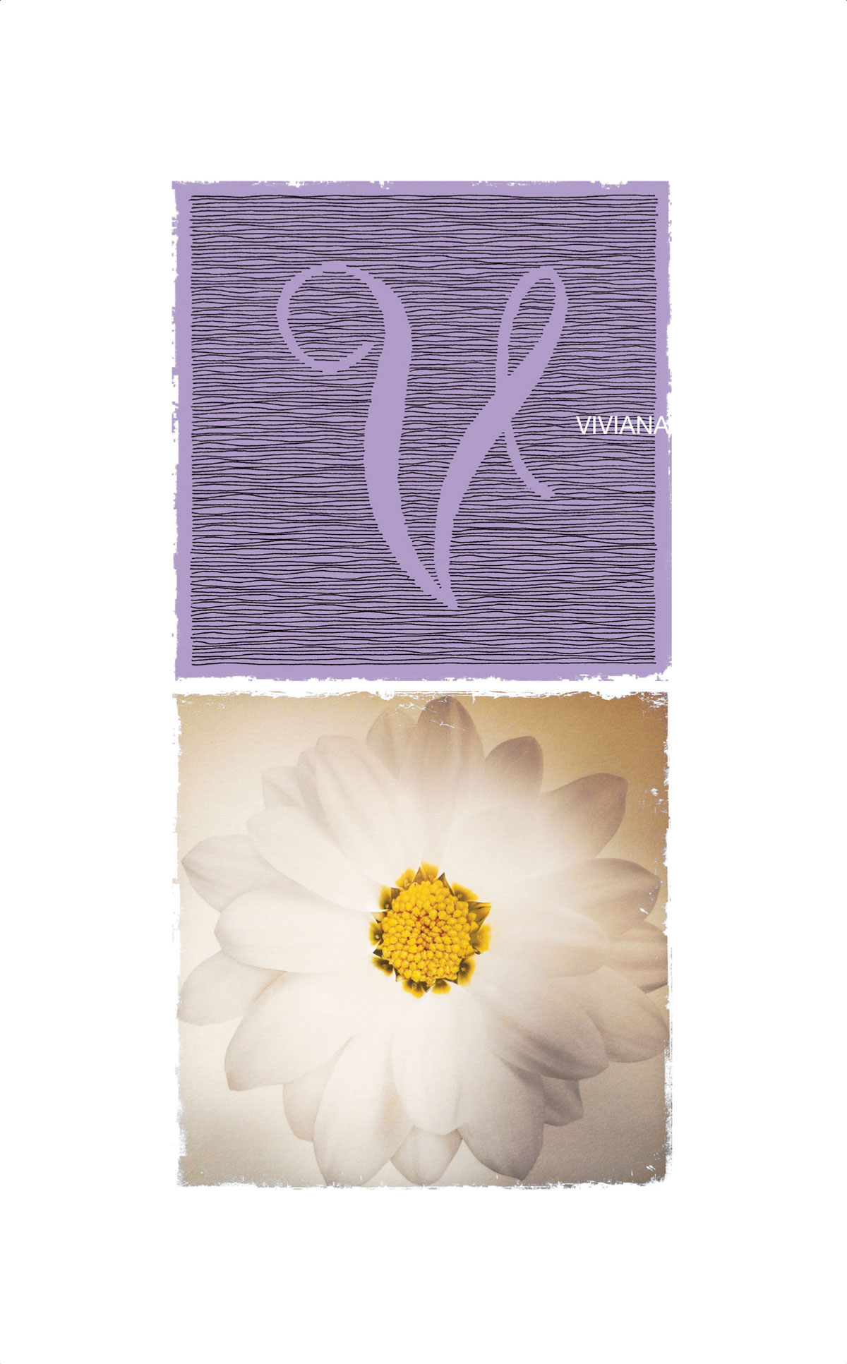 0034-VIVIANA