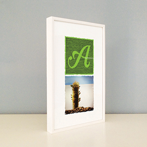 0041-alessandro-C